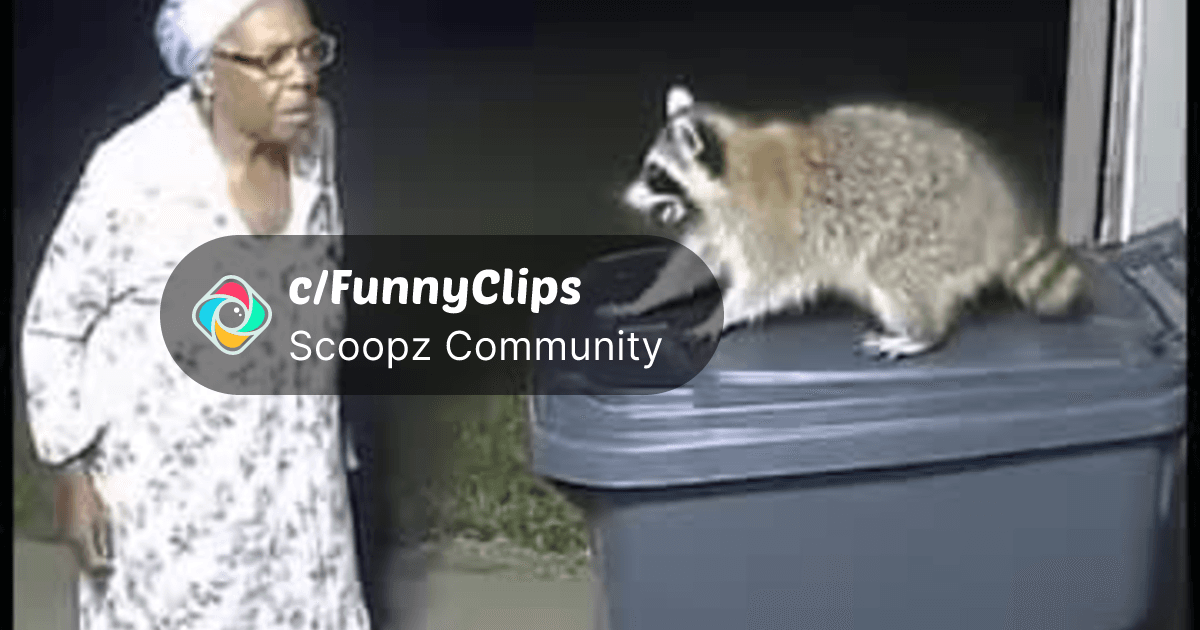 Grandma vs the raccoon